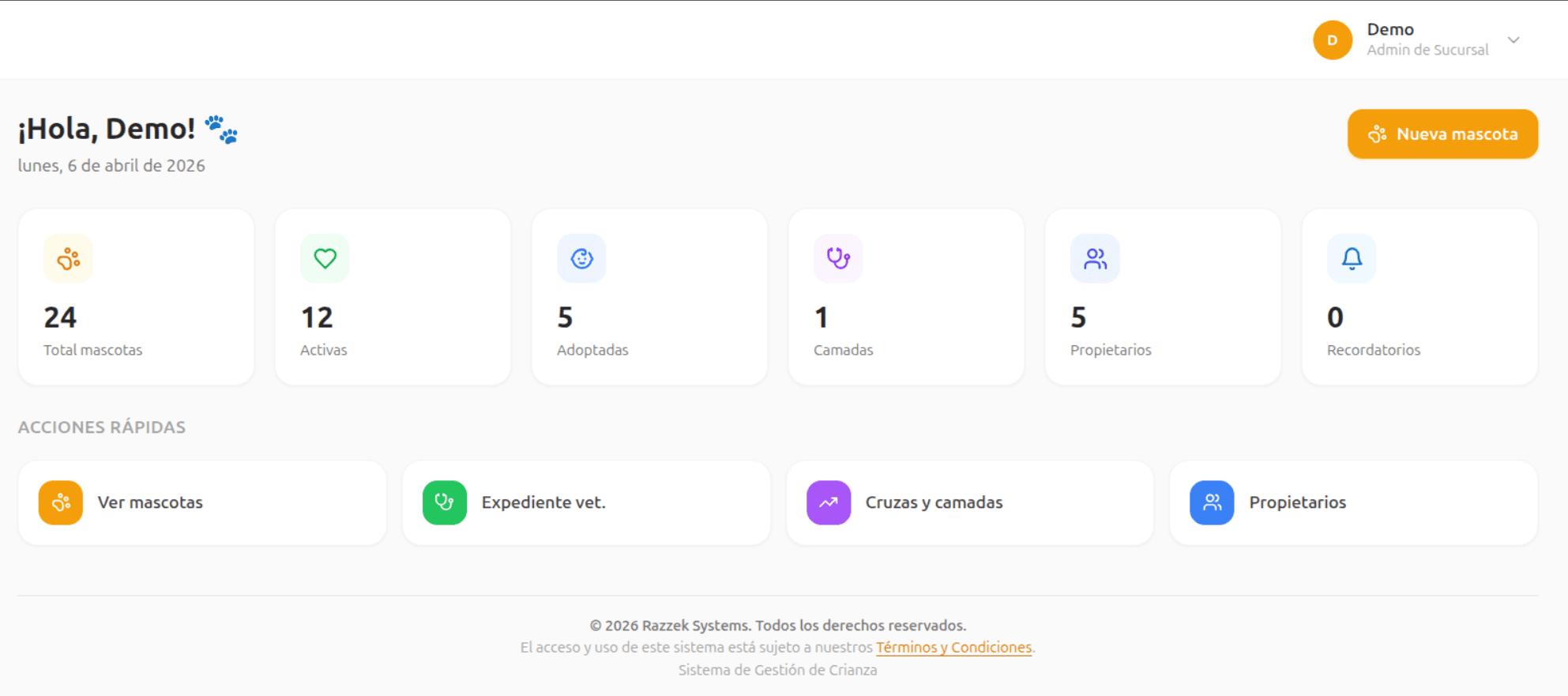 Dashboard principal